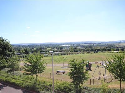 Picture 12
